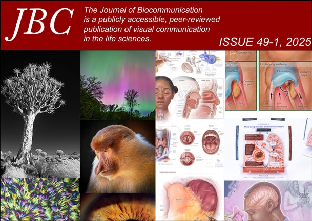 Vol. 49 No. 1 (2025)