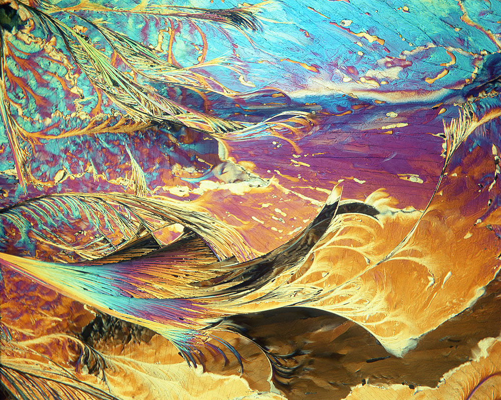 © David Mailin, Polarisation micrograph of a thin layer of anthrone (9,10-dihydro-9-oxoanthracene)
