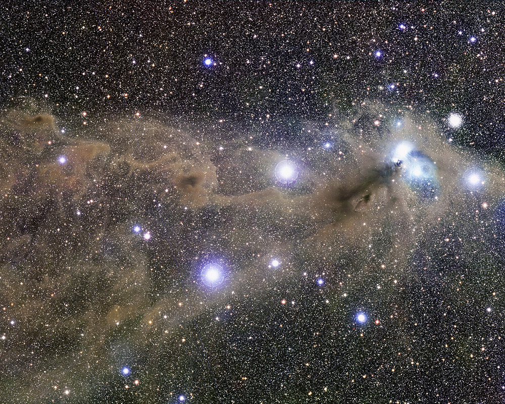 © David Malin, The faint tail of the Corona Australis reflection nebula (widefield)