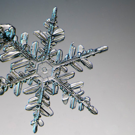 peres_6point_snowflake1200px.jpg