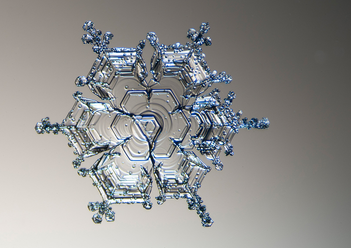 peres_snowflake_structure1200px.jpg