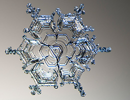 peres_snowflake_structure260px.jpg